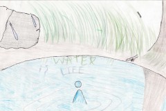 Emmanuel-Corrigan-Waiakeawaena-Elementary