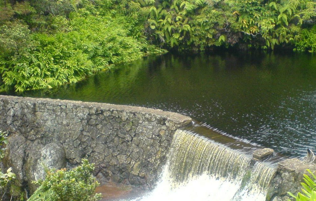 Kohakohau dam intake