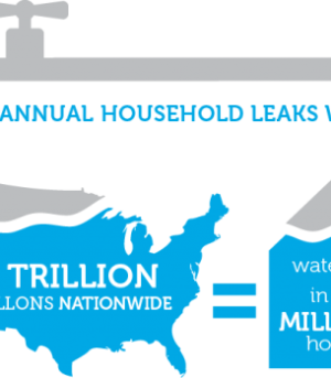 Annual household leaks graphic