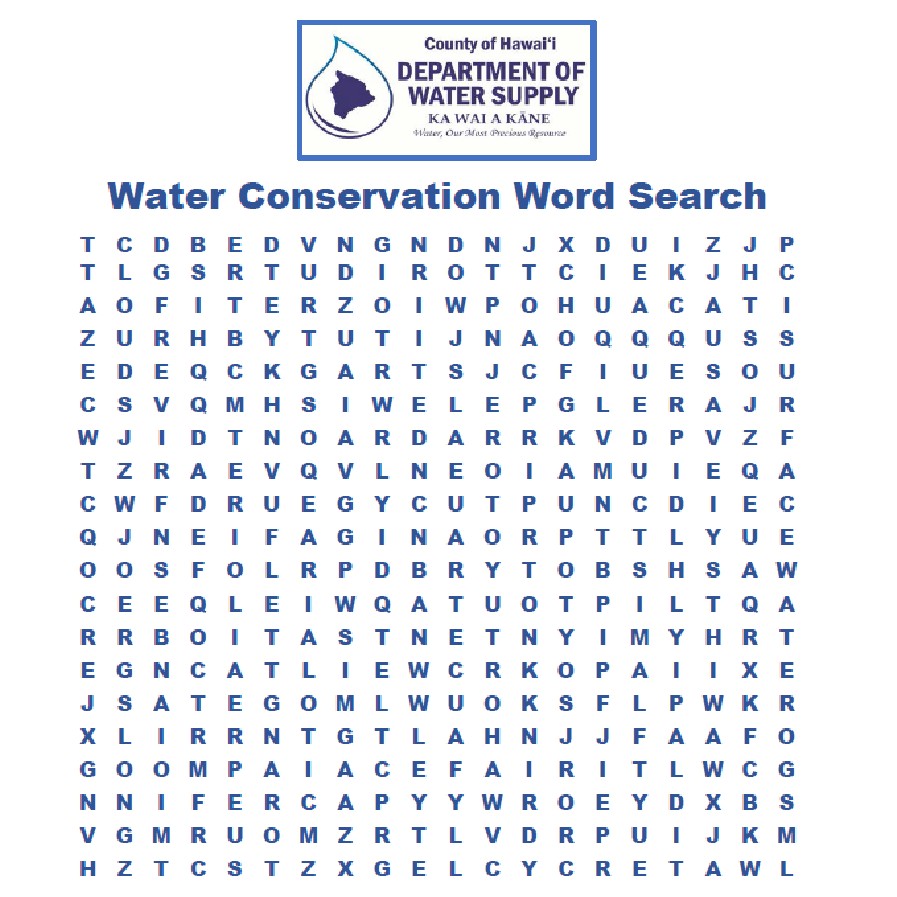 dws water conservation word search
