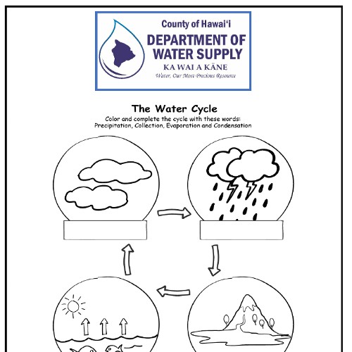 dws water cycle word match