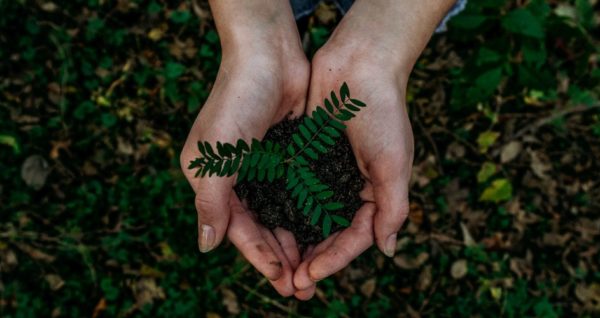 earth day hands