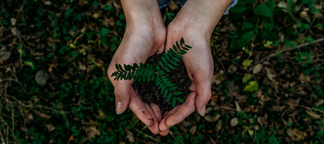 earth day hands