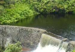 Kohakohau dam intake