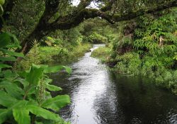 Marine Dam looking upstream