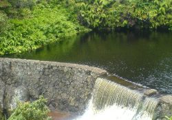 Kohakohau Dam intake